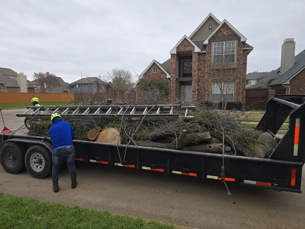 Expert Lot Clearing with proper safety equipment in Winthrop